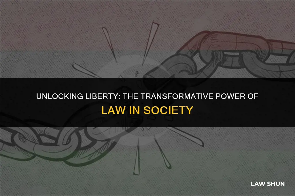 how did the law bring freedom