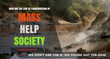 Conservation of Mass: Transforming Science, Industry, and Daily Life