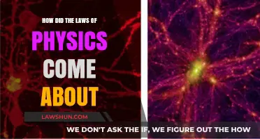 Unraveling the Origins: How the Laws of Physics Evolved