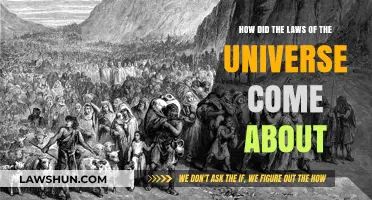 Unraveling the Cosmic Mystery: Origins of Universal Laws Explored
