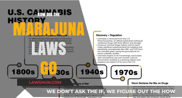 From Prohibition to Legalization: The Evolution of Marijuana Laws