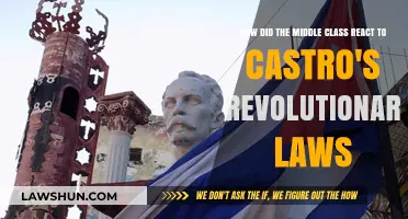 Castro's Revolution: Middle Class Reactions to Radical Reforms in Cuba