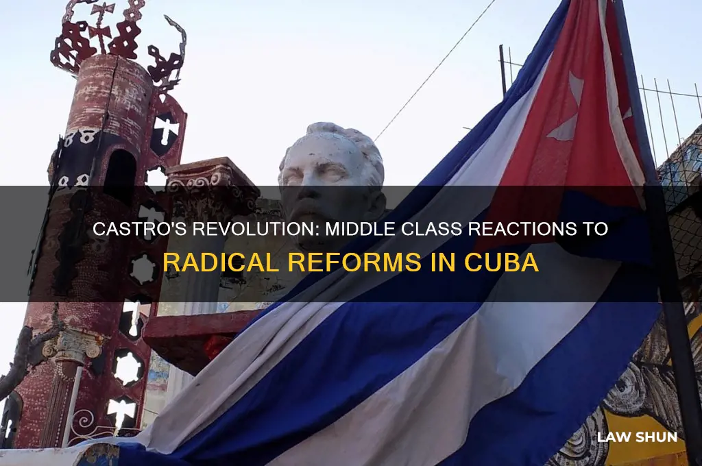 how did the middle class react to castro
