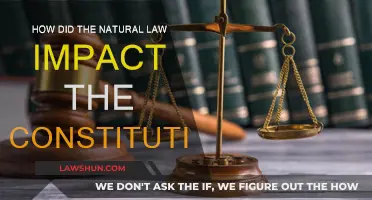 Natural Law's Influence on the Constitution