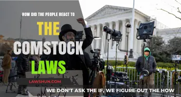 Public Outrage and Resistance: Reactions to the Comstock Laws