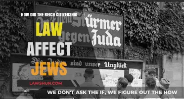 Reich Citizenship Law's Devastating Impact on Jewish Lives and Rights