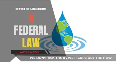 The SDWA: Federal Law Journey and Implementation