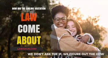 The Evolution of Sibling Visitation Rights: A Legal History