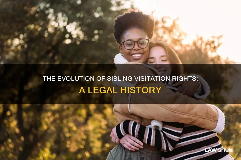 how did the sibling visitation law come about