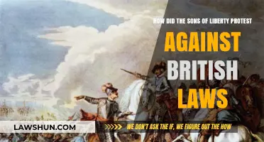 Sons of Liberty: Revolutionary Tactics Against British Oppression and Laws