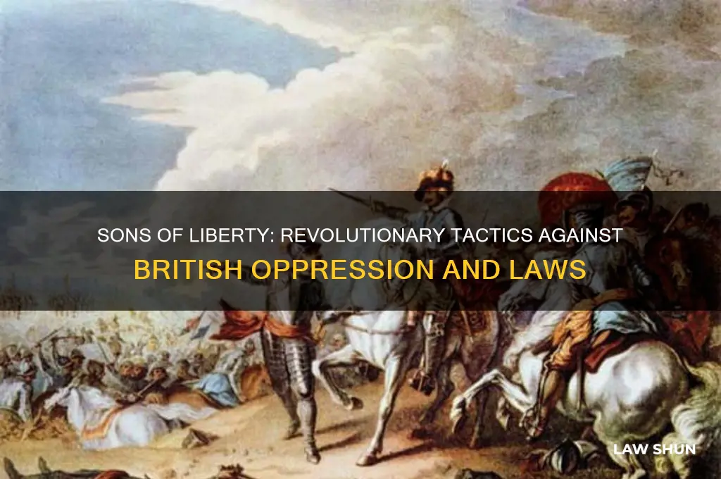 how did the sons of liberty protest against british laws