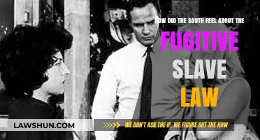 Southern Reactions to the Fugitive Slave Law: Conflict and Division