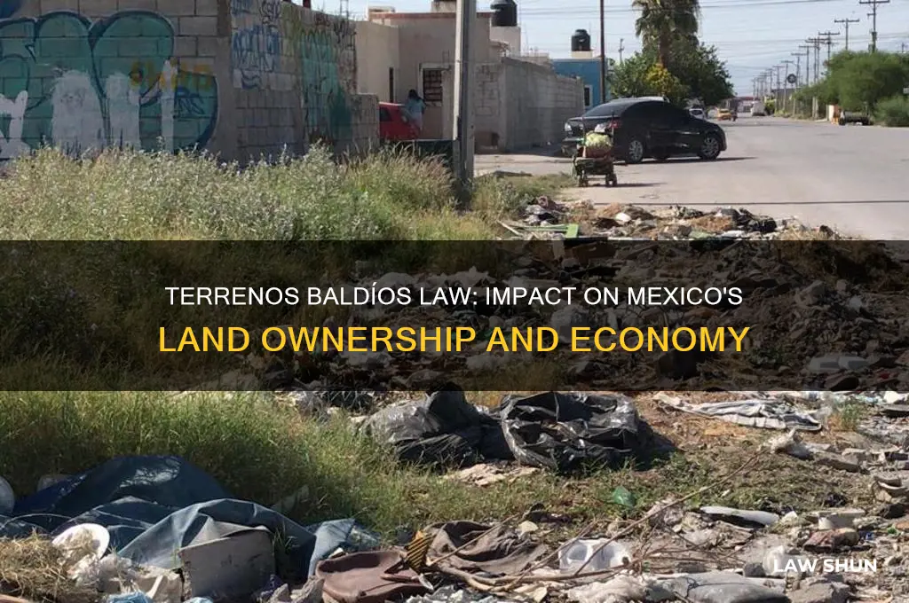 how did the terrenos baldios law affect mexico