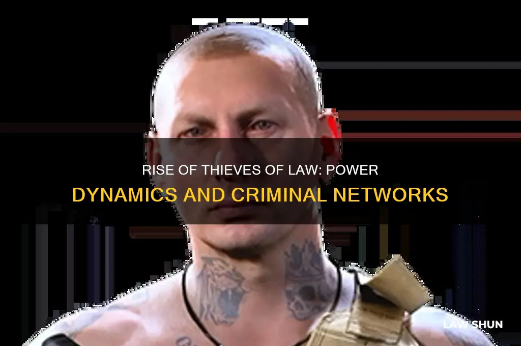 how did the thieves of law come to power