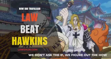 Decoding Trafalgar Law's Victory: A Strategic Breakdown vs. Hawkins