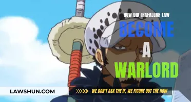 The Rise of Trafalgar Law: Warlord Origins