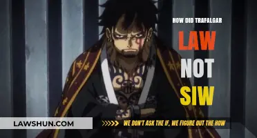 Unraveling Trafalgar Law's Survival Saga: A One Piece Mystery