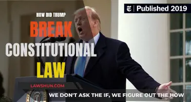 Trump's Constitutional Law Violations: A Comprehensive Overview