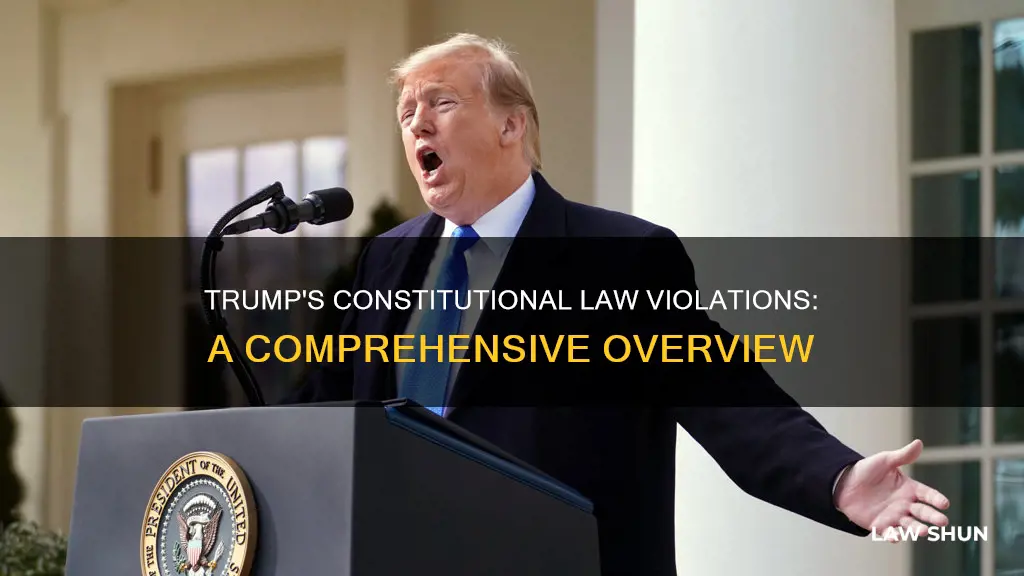 how did trump break constitutional law