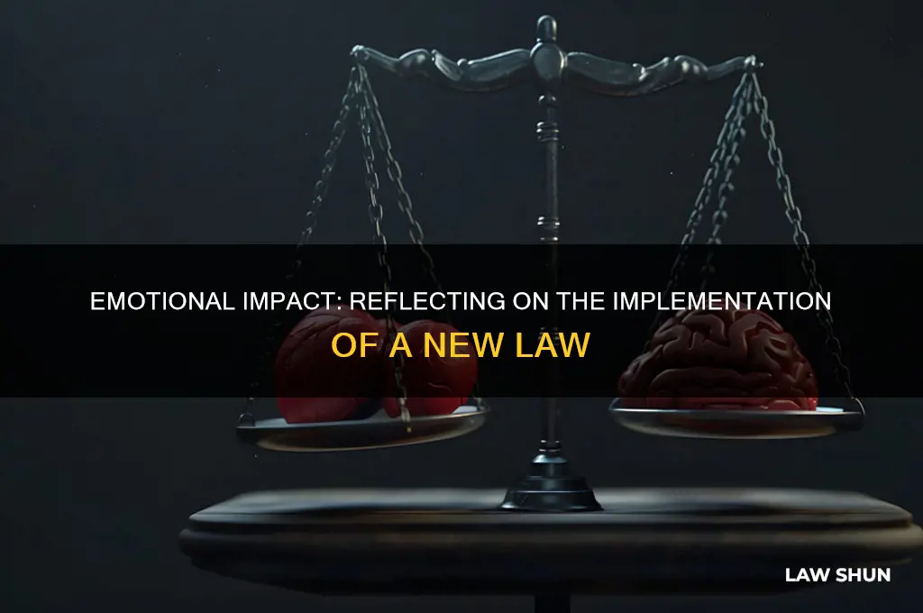 how did you feel when this law was implemented essay