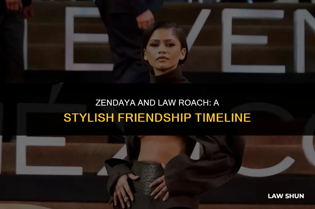 how did zendaya meet law roach