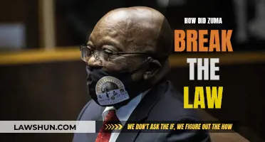 Zuma's Law-Breaking: A Comprehensive Overview