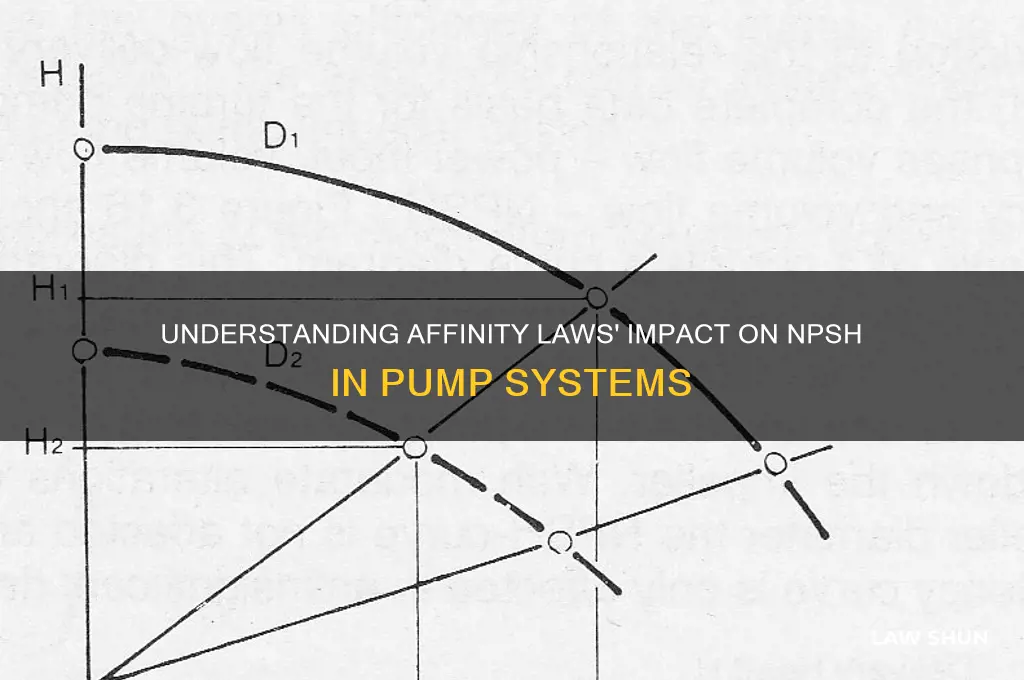how do affinity laws affect npsh