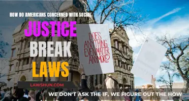 Americans and Social Justice: Breaking Laws, Seeking Change