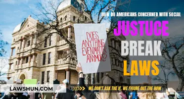 Americans' Social Justice: When Breaking Laws is Necessary