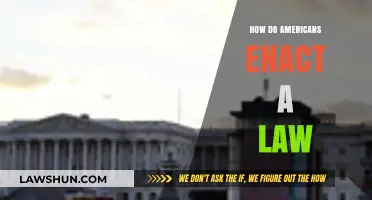 Understanding the Legislative Process: How Laws Come to Life in the USA
