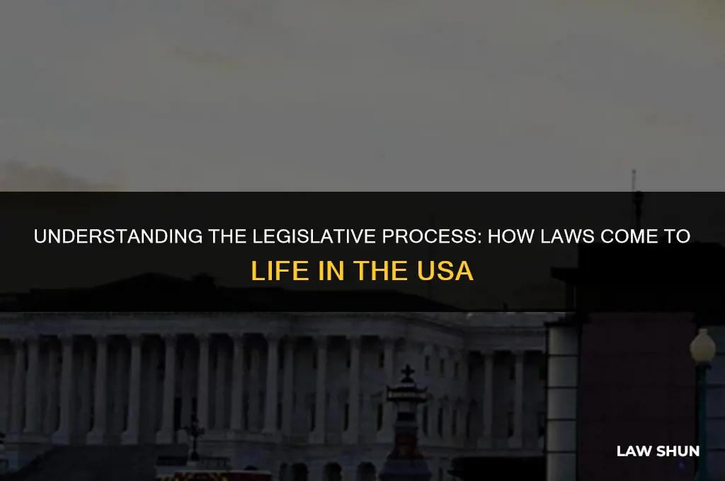how do americans enact a law