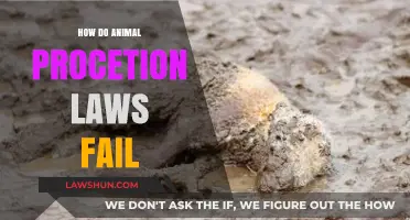 Unveiling the Shortcomings: A Critical Look at Animal Protection Laws