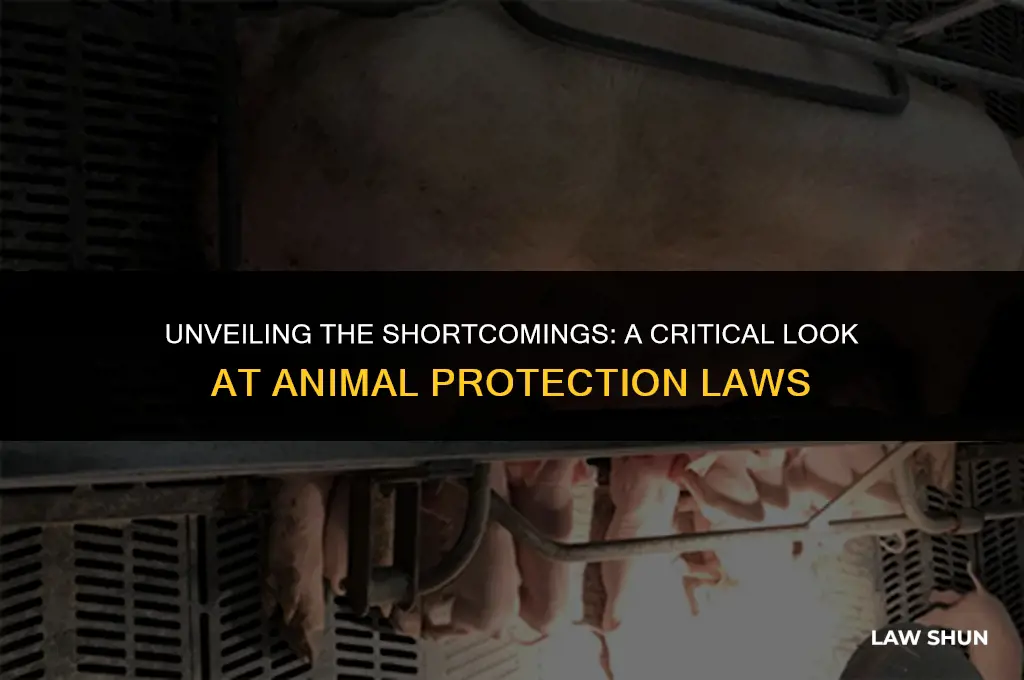 how do animal procetion laws fail
