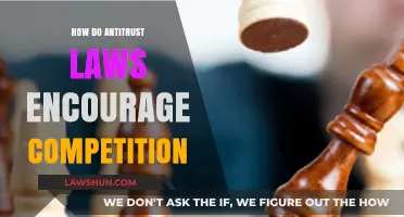 Fostering Fair Play: The Role of Antitrust Laws in Market Competition