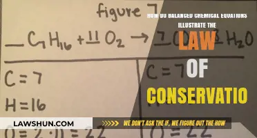 Balanced Chemical Equations: Demonstrating the Law of Conservation in Reactions