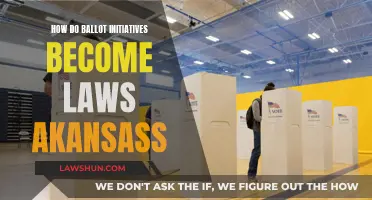 Understanding Ballot Initiatives: Arkansas' Lawmaking Process