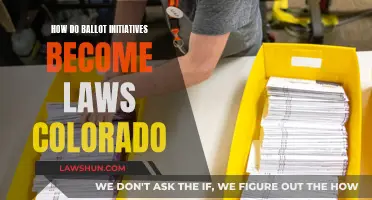 Colorado's Ballot Initiatives: Laws in the Making