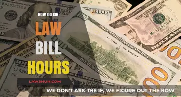 Decoding Big Law Billing: A Guide to Understanding Hourly Rates