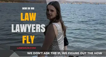 Navigating the Skies: How Big Law Lawyers Stay Ahead in Travel