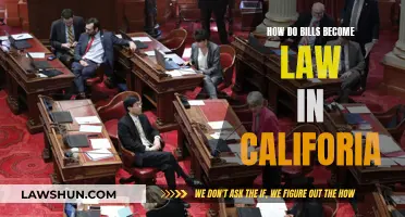 Understanding California's Lawmaking: Bills to Laws