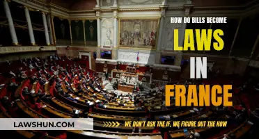 The French Lawmaking Process: Bills to Laws