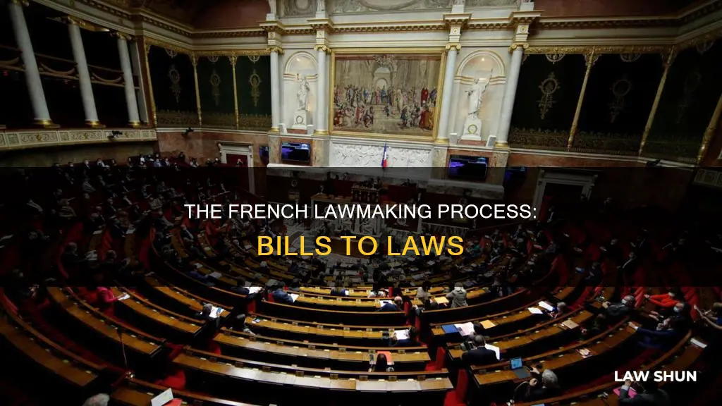 how do bills become laws in france