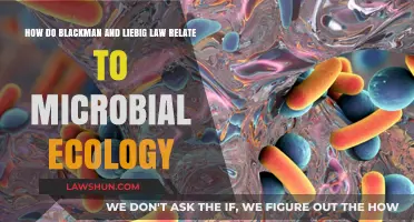 Blackman and Liebig's Laws: Unlocking Microbial Ecology Dynamics