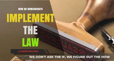 Behind the Scenes: How Bureaucrats Bring Laws to Life