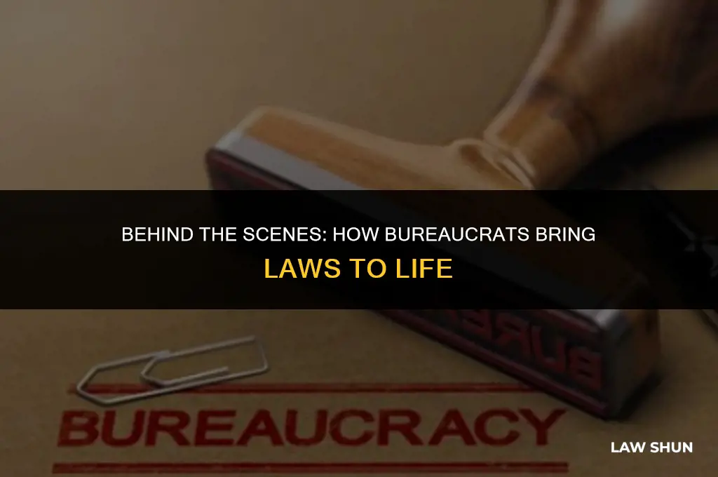 how do bureaucrats implement the law