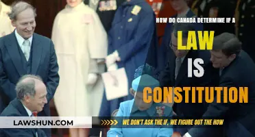 Canada's Constitutional Law: How Are Laws Evaluated?