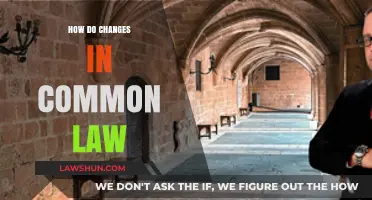 Common Law Evolution: Understanding Dynamic Legal Changes