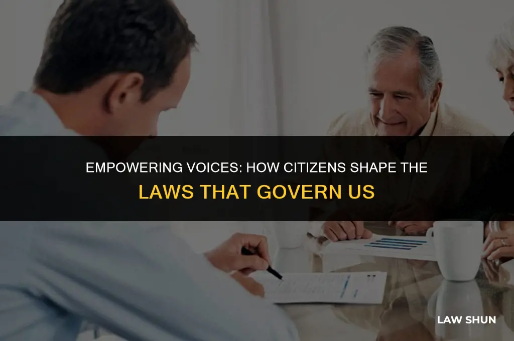 how do citizens influence law making