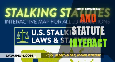 The Evolution of Law: Common Law and Statute Interaction