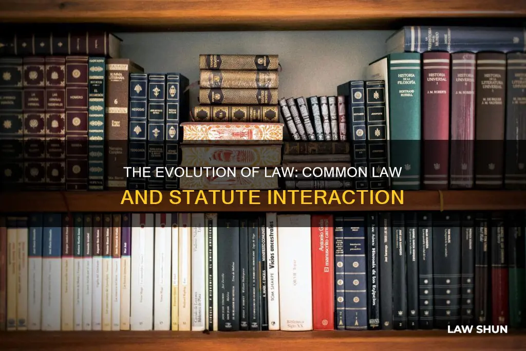 how do common law and statute interact